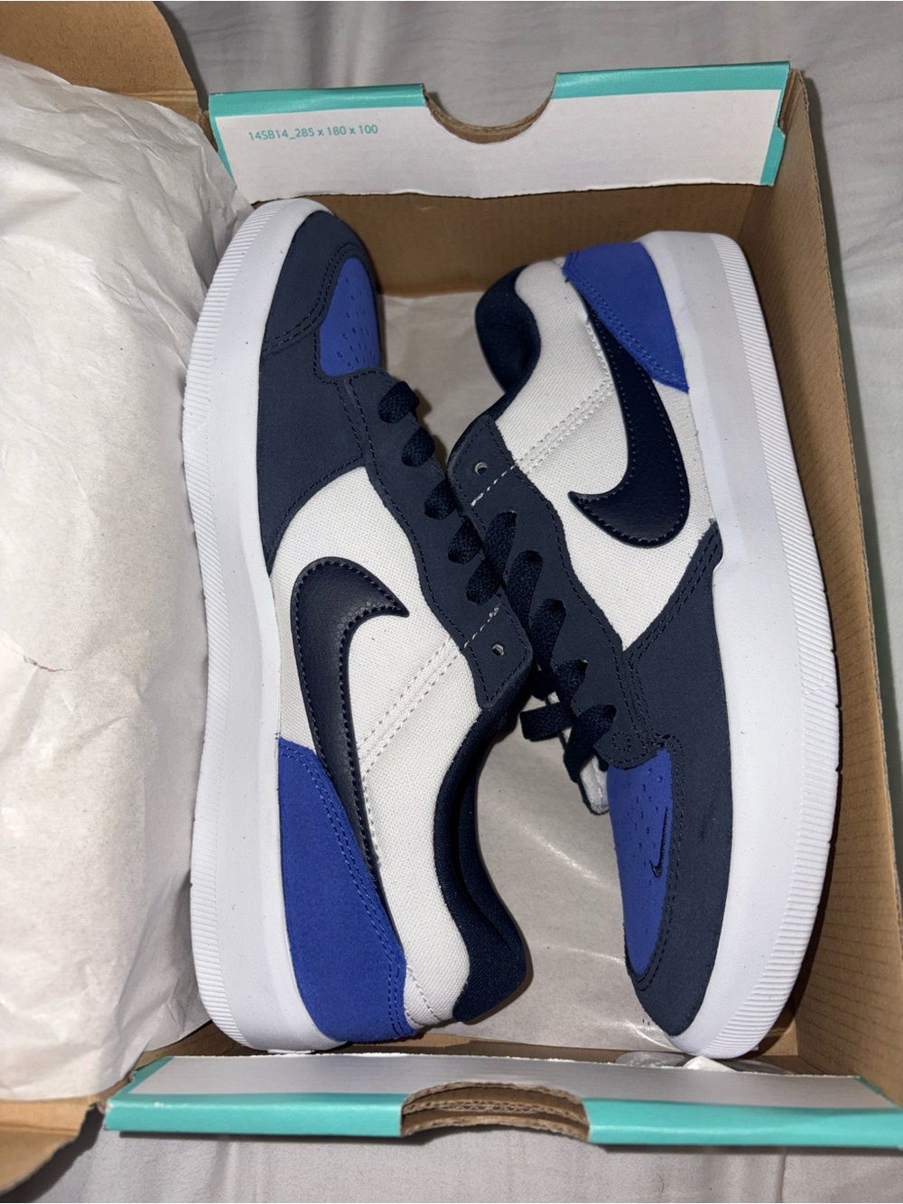 Nike SB Force 58